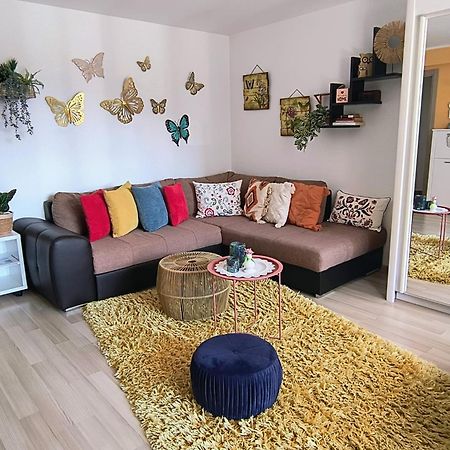 Sweet Butterflies Residence Брашов Экстерьер фото