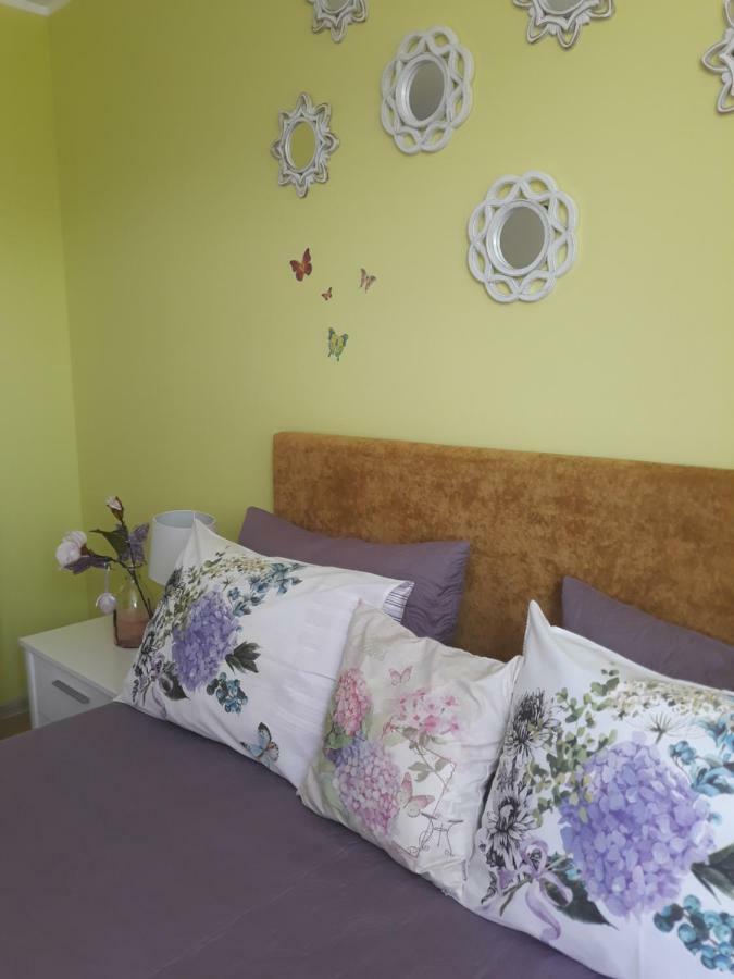 Sweet Butterflies Residence Брашов Экстерьер фото